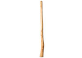 Natural Finish Didgeridoo (TW1390)